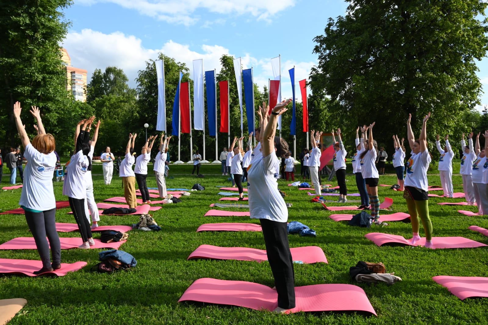 Yoga Instructor Certification (Level 3)